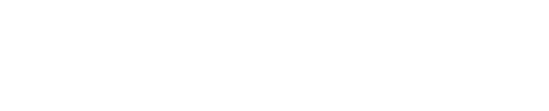 b+s germany - Logo
