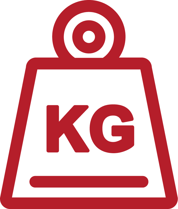 b+s germany - Burghardt + Schmidt GmbH - Gewicht Icon